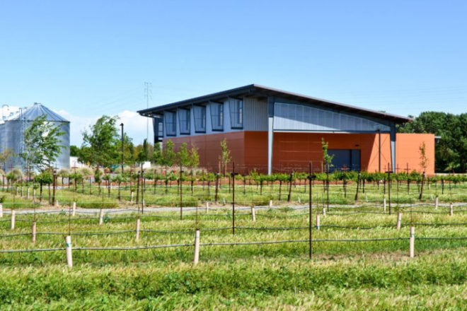 Jess Jackson Sustainable Winery, Siegel & Strain Architects, UC Davis, net zero, passive house, eco winery, eco school