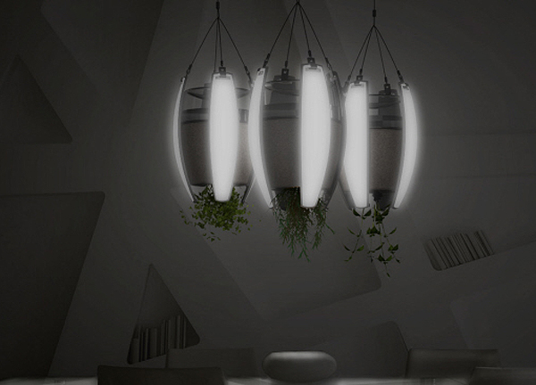 green design, eco design, sustainable design, Michael Oechsle, OLED planter, plant powered light, hanging lamp, LivingLights