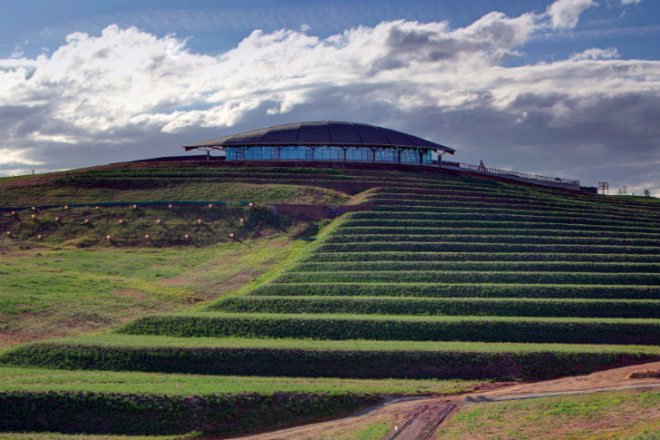 National Arboretum Canberra, Village Centre, Tonkin Zulaikha Greer, Taylor Cullity Lethlean, arboretum, visitor centre, eco visitor center, canberra, seed bank