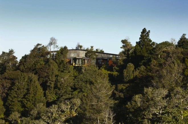 Tennent + Brown, Ngunguru House, New Zealand, forest canopy, bush camp house in New Zealand, coastal New Zealand, sustainable homes in New Zealand, green homes in New Zealand, eco architects New Zealand, natural light, passive solar design, green design, eco-design, daylighting, on-site wastewater treatment, rainwater harvesting homes