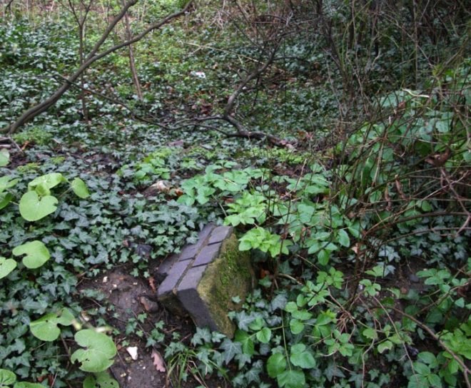 Phytology, Nomad, medicinal garden, London, East End, urban gardening, green urban design, urban design, sustainable design, gardening, botanical, urban garden, edible garden