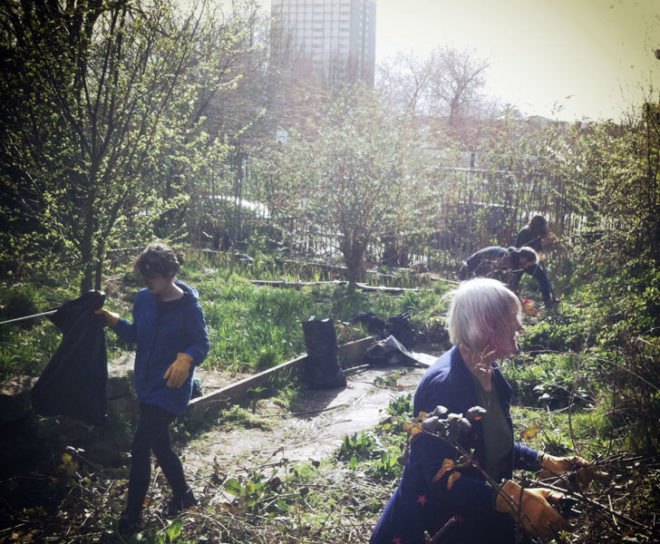 Phytology, Nomad, medicinal garden, London, East End, urban gardening, green urban design, urban design, sustainable design, gardening, botanical, urban garden, edible garden