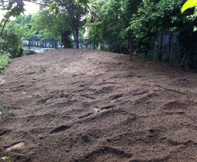 Phytology, Nomad, medicinal garden, London, East End, urban gardening, green urban design, urban design, sustainable design, gardening, botanical, urban garden, edible garden