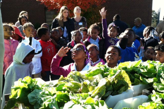 Real Food Farm, Mobile Market, food desert, baltimore, sustainable food, urban farming,
