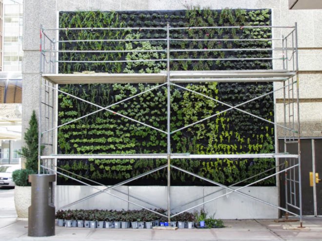 Sheraton Vertical Garden, Urbanarbolism, vertical garden, denver, unusualgreen, hydroponic garden, mile high gardening conference