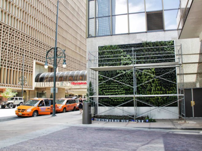 Sheraton Vertical Garden, Urbanarbolism, vertical garden, denver, unusualgreen, hydroponic garden, mile high gardening conference
