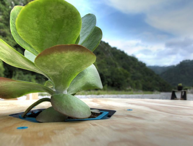 Shift, mexico, viva, flat pack furniture, green furniture, sustainable furnishings, green design, sustainable design, green interiors, eco design, green decor, sustainable products, eco chairs
