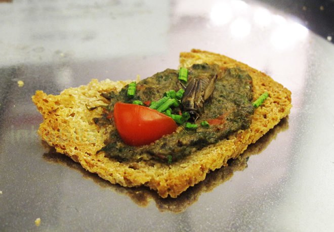 cricket canape, eating crickets, cricket treats, people who eat crickets, cricket cookies, cricket farms, cricket dining, cricket snacks, future food salon, sustainable food, cricket protein, crickets nyc, new york food, weird food nyc, weird food, cricket brittle, cricket energy bars, cricket canape, eating crickets, cricket treats, people who eat crickets, cricket cookies, cricket farms, cricket dining, cricket snacks, future food salon, sustainable food, cricket protein, crickets nyc, new york food, weird food nyc, weird food, cricket brittle, cricket energy bars, cricket farming