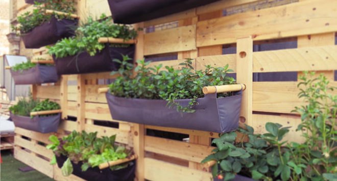 Super®Bag, grow bag, harvey grows, vertical gardens, urban gardens, city gardening, urban gardening, small space gardens