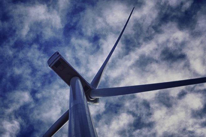 wind turbines, bird deaths, bird collisions, wind power, green energy, renewable energy, wind farms