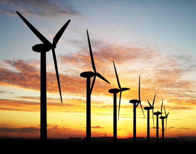 wind turbines, bird deaths, bird collisions, wind power, green energy, renewable energy, wind farms