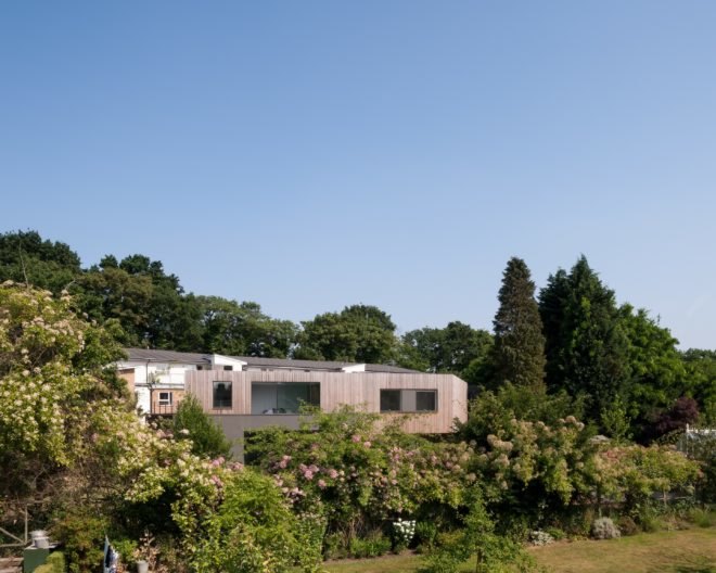 soup architects, wedge house, green design , green architecture, UK homes, UK architecture, modern home, modern green home, modern eco home