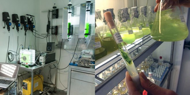 green design, eco design, sustainable design, Marin Sawa, Algaerium Bioprinter, 3d printed algae