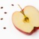 Apple seeds, seeds from an apple, seeds for an apple tree