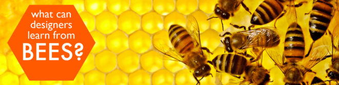 biomimicry, honeybee, bee design, hive design, honeybee design, what can honeybees teach us