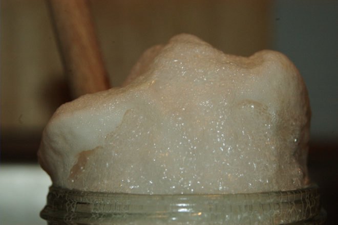 Yeast, Bacteria, Eternal Youth, Anti Aging, Looking Young, Eternal Life, Current Biology, rDNA, ribosomal DNA, Massey University, New Zealand, Japan, National Institute of Genetics, Genetic Engineering, Austen Ganley, Takehiko Kobayashi, cell division, how to stay looking young, beauty tips, dermatology, skin care,