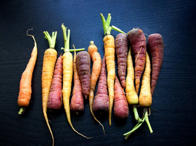 Colorful carrots, purple carrots, roots, root vegetables