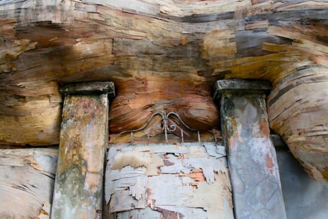 Henrique Oliveira, Architecture, Art, Recycled Materials, Casa dos Leões, recycled wood, plywood, tumors, peeled wood