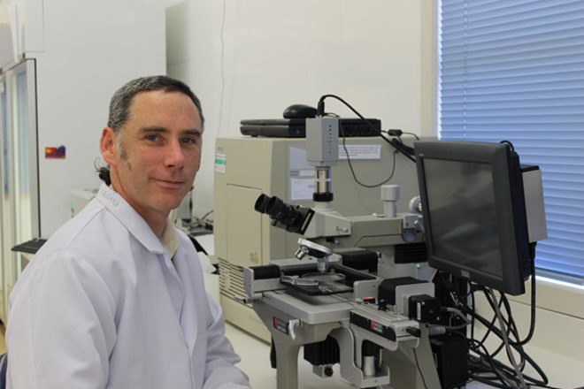 Yeast, Bacteria, Eternal Youth, Anti Aging, Looking Young, Eternal Life, Current Biology, rDNA, ribosomal DNA, Massey University, New Zealand, Japan, National Institute of Genetics, Genetic Engineering, Austen Ganley, Takehiko Kobayashi, cell division, how to stay looking young, beauty tips, dermatology, skin care,