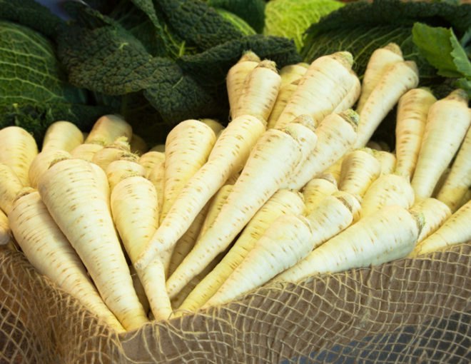 white carrots, white parsnips, parsnips, roots, root vegetables, vegetable storage
