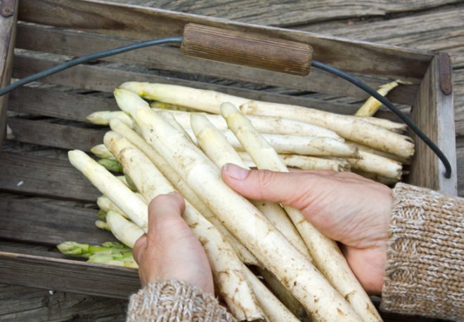 vegetable storage, asparagus, parsnips, root vegetables