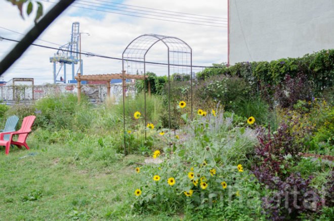 Columbia Waterfront Community Gardens Tour, Human Compass Garden, Amazing Garden, Summit Street Garden, Backyard Garden, South Brooklyn Children’s Garden, Pirate’s Cove Garden, Urban Meadow, Claire Merlino, Community Green Space, Community Garden, Parklands, Vegetables, Amateur Farming, Urban Farming, Botanists, Greenest Blocks, Places to Grow Food, Environmental Education, Public Schools, Community Parks, How Can I Make a Green Community, Carroll Gardens, Brooklyn, Features, Parks, Wild Life, Chickens,
