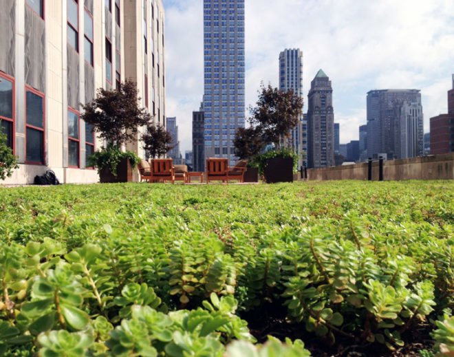 , Emgreen design, eco design, sustainable design, Empire state building, LEED Gold, Green roof New York, Xero Flor
