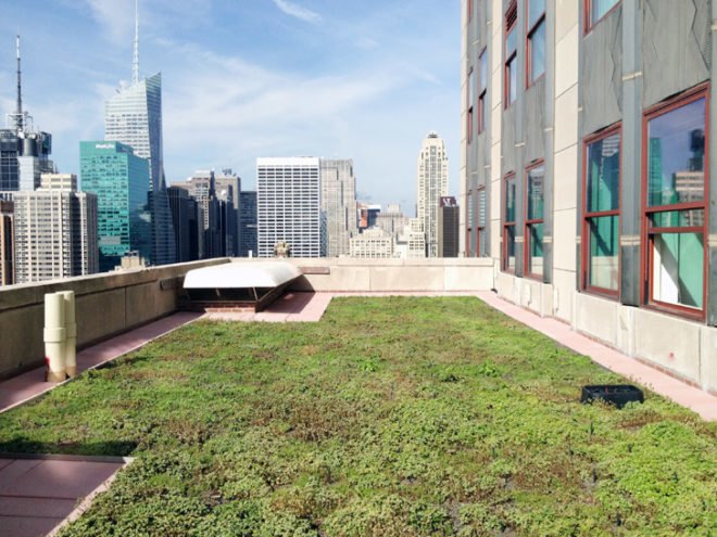 , Emgreen design, eco design, sustainable design, Empire state building, LEED Gold, Green roof New York, Xero Flor
