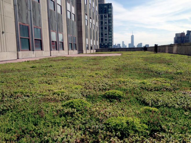 , Emgreen design, eco design, sustainable design, Empire state building, LEED Gold, Green roof New York, Xero Flor