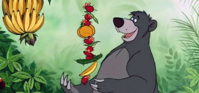 grizzly bear, brown bear, polar bear, kidney disease, biomimicry, top predator, keystone species,