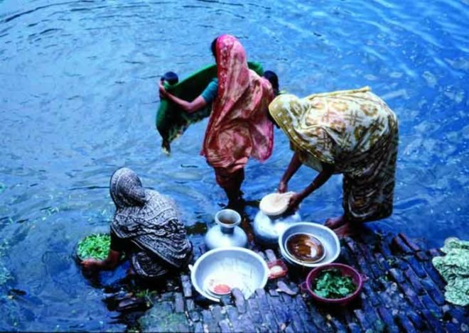 clean water, plants, arsenic, bangladesh, stephen goodwin honan, global design forum, london design festival