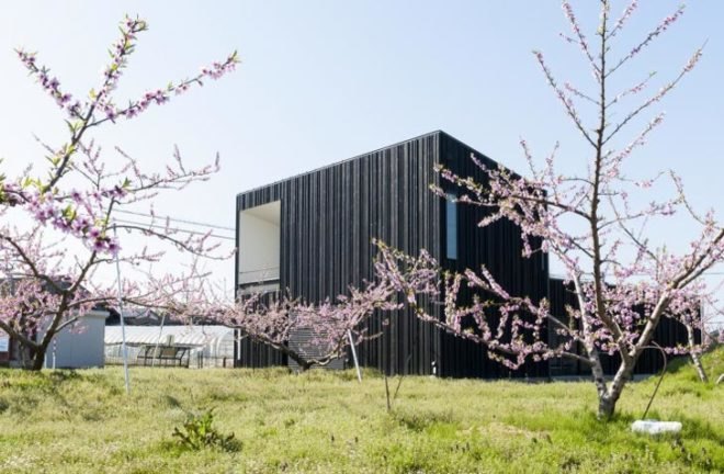 Takeru Shoji Architects, Niigata, Japan, Peach Gardens, Yobitsugi, Farmland, Busy Highway, Yakisugi, Cherry Blossoms, Courtyard