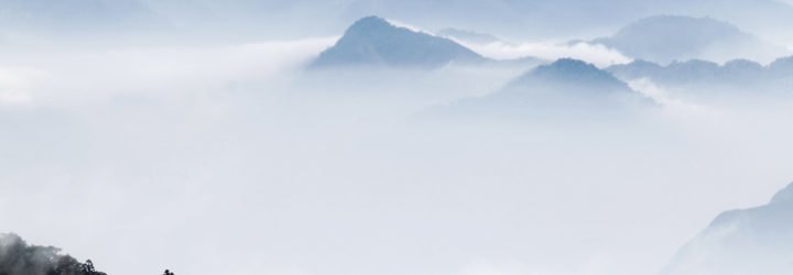 MIT, fog, water, fog harvesting, desert, mountains, moisture, water conservation, drought,