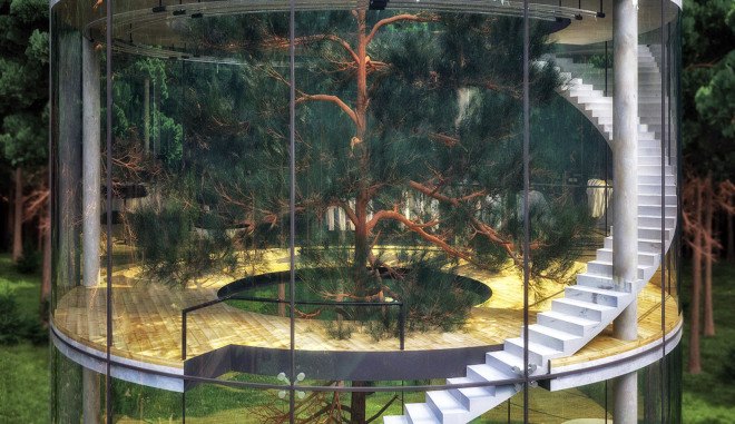 A. Masow Design Studio, tree house Kazakhstan, Kazakhstan architecture, glass houses, tree houses, tree houses design, transparent houses, forest retreats, daylit homes, Kazakhstan