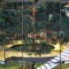 A. Masow Design Studio, tree house Kazakhstan, Kazakhstan architecture, glass houses, tree houses, tree houses design, transparent houses, forest retreats, daylit homes, Kazakhstan