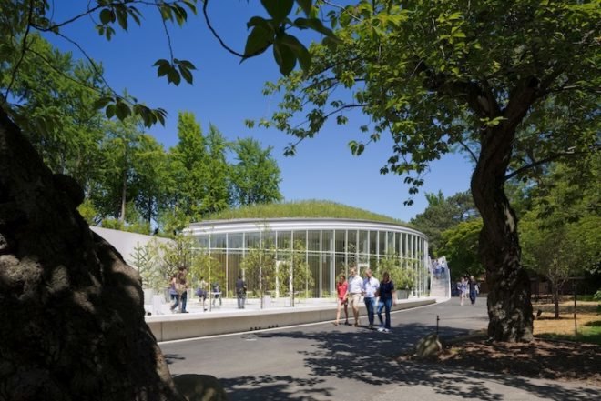 brooklyn botanic garden, visitor center, weiss/manfredi, geoexchange, energy efficient, LEED, LEED Gold, living roof, green roof, landscape architecture, sustainability, stormwater management