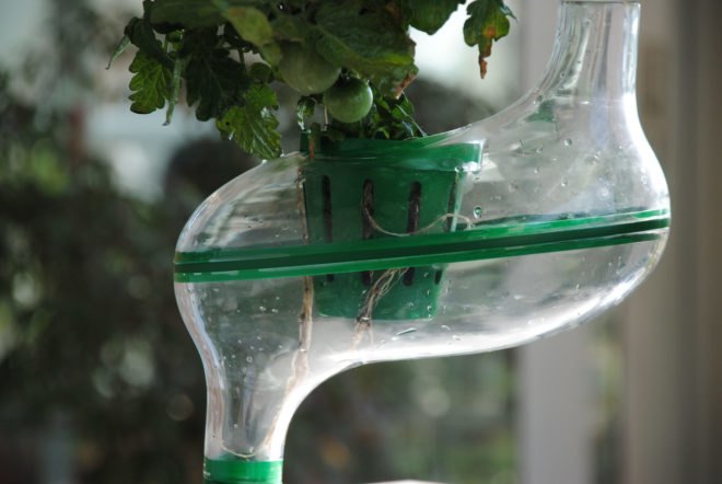 planTree, Hydroponic Cultivator, hydroponics, growing food at home, urban gardening, urban gardens