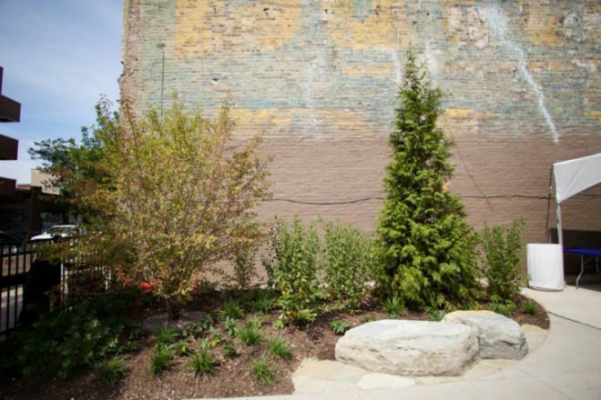 Park 567, The Trust for Public Land, chicago, public park, the 606, bloomingdale trail, urban park, landscape architecture