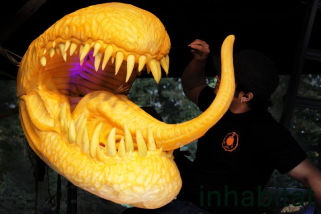 green design, eco design, sustainable design, Ray Villafane, New York Botanical Garden, NYBG, pumpkin carving