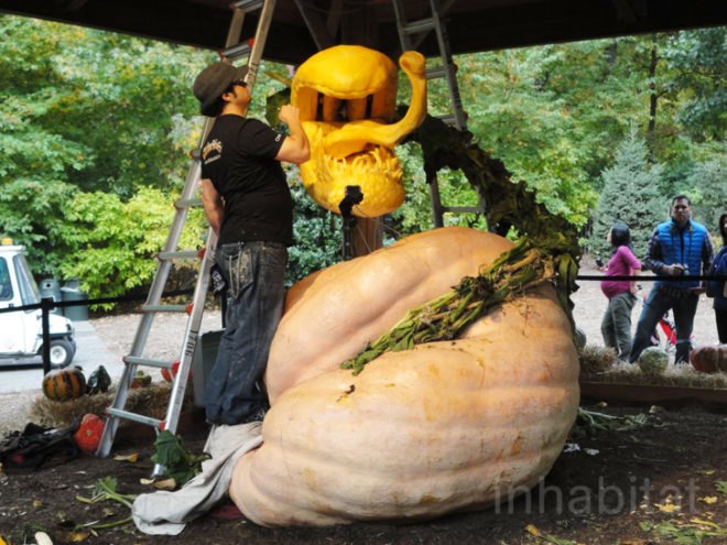 green design, eco design, sustainable design, Ray Villafane, New York Botanical Garden, NYBG, pumpkin carving