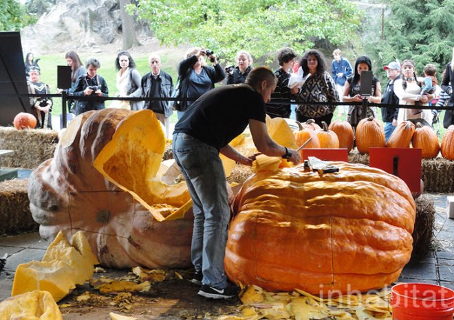 green design, eco design, sustainable design, Ray Villafane, New York Botanical Garden, NYBG, pumpkin carving