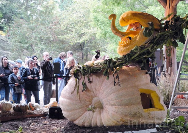 green design, eco design, sustainable design, Ray Villafane, New York Botanical Garden, NYBG, pumpkin carving