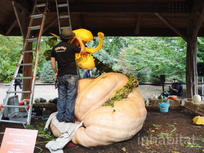 green design, eco design, sustainable design, Ray Villafane, New York Botanical Garden, NYBG, pumpkin carving
