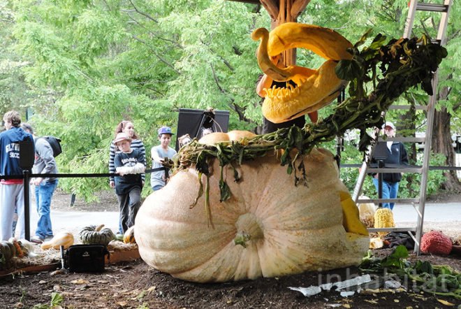 green design, eco design, sustainable design, Ray Villafane, New York Botanical Garden, NYBG, pumpkin carving