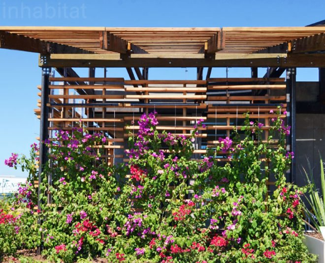 SHADE House, DoE Solar Decathlon, Department of Energy, intercollegiate architecture competition, ASUNM, Solar Decathlon, Solar Decathlon 2013, 2013 Solar Decathlon, DoE Solar Decathlon, green design, sustainable design, eco-design, Irvine, California, ASU, University of New Mexico, desert living, desert homes, prefab solar homes, solar-powered prefab home, PHX Renews, eco-design, solar energy, solar innovation, solar power, renewable energy, clean tech, green tech, rainwater capture, home cooled with melting ice, drought-resistant flora, DoE architecture competition