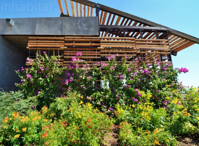 SHADE House, DoE Solar Decathlon, Department of Energy, intercollegiate architecture competition, ASUNM, Solar Decathlon, Solar Decathlon 2013, 2013 Solar Decathlon, DoE Solar Decathlon, green design, sustainable design, eco-design, Irvine, California, ASU, University of New Mexico, desert living, desert homes, prefab solar homes, solar-powered prefab home, PHX Renews, eco-design, solar energy, solar innovation, solar power, renewable energy, clean tech, green tech, rainwater capture, home cooled with melting ice, drought-resistant flora, DoE architecture competition