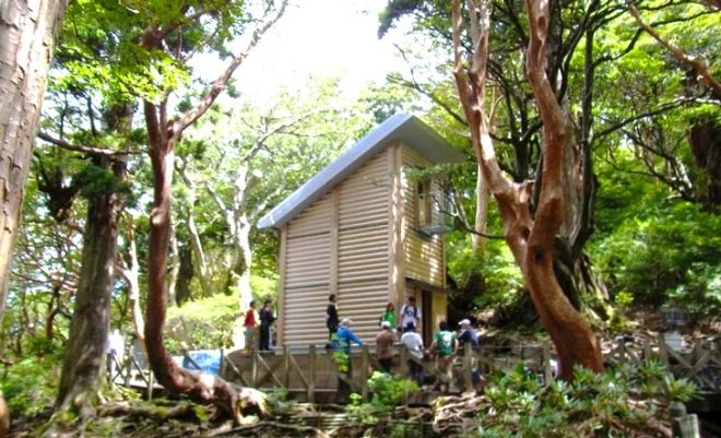 Paper Tube House, Paper Tubes, Recycled, Renewable, Residence, Modular, Forest Hut, Shigeru Ban, Japan, Yakushima Island, mountains, outdoors, nature, cardboard
