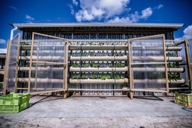green design, eco design, sustainable design, Touching Earth Lightly, Gege Creche, City of Capetown Environmental Resource Management Department, Andrew Lord, Stephen Lamb, Vertical garden, Handspring Theater Puppet Company, Ackerman Pick and Pay foundation