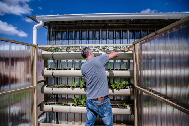 green design, eco design, sustainable design, Touching Earth Lightly, Gege Creche, City of Capetown Environmental Resource Management Department, Andrew Lord, Stephen Lamb, Vertical garden, Handspring Theater Puppet Company, Ackerman Pick and Pay foundation