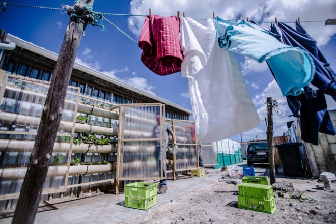 green design, eco design, sustainable design, Touching Earth Lightly, Gege Creche, City of Capetown Environmental Resource Management Department, Andrew Lord, Stephen Lamb, Vertical garden, Handspring Theater Puppet Company, Ackerman Pick and Pay foundation